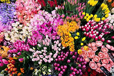 Epic喜加一：《超级领地》免费领取