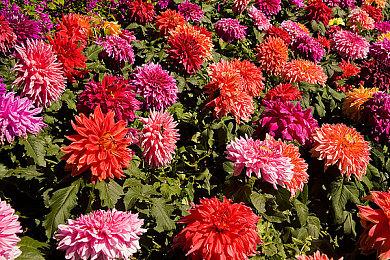 《漫威复仇者联盟》蜘蛛侠DLC演示 没有故事任务